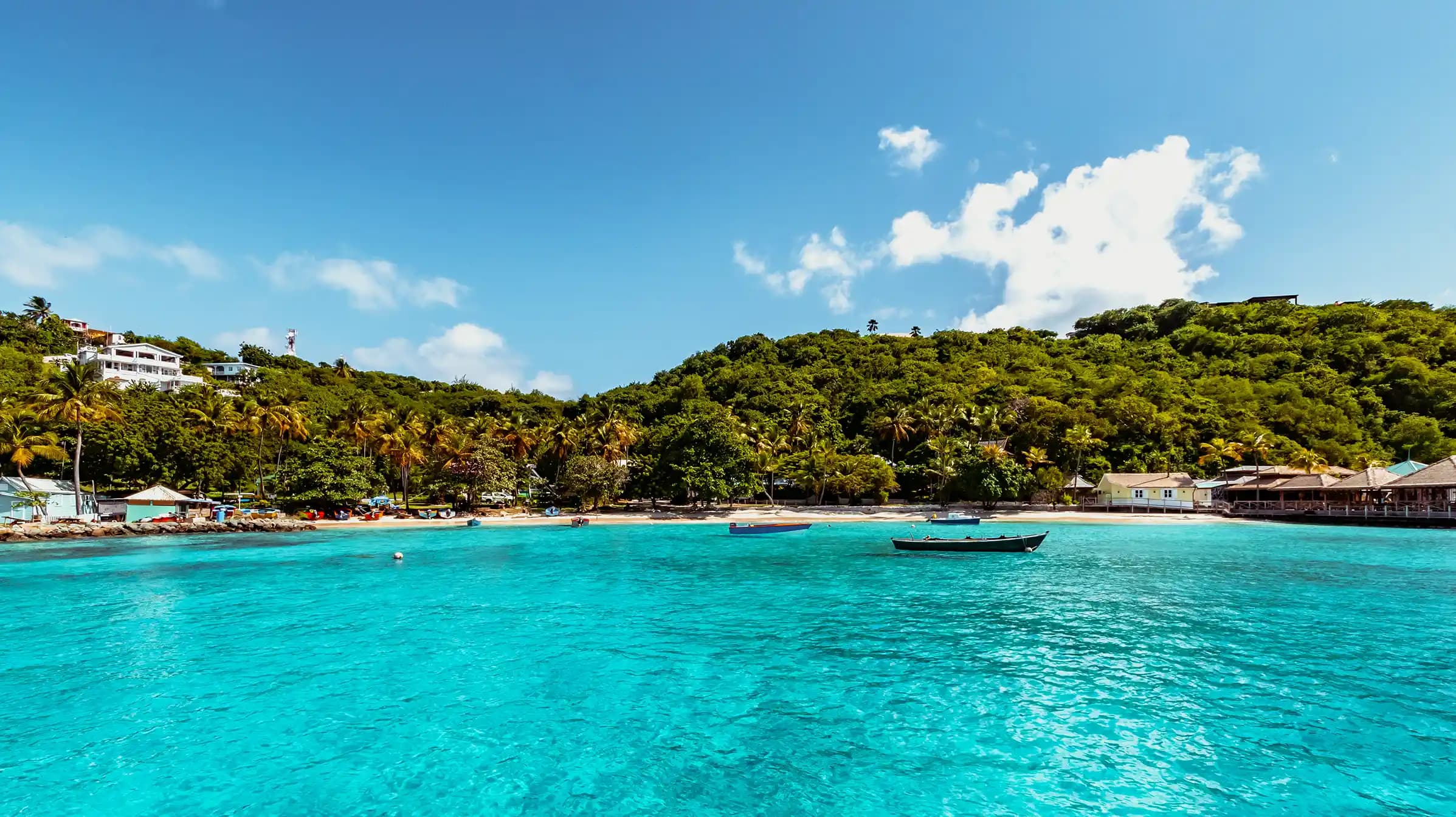 Lesser Antilles featuring Nevis & Saint Martin
