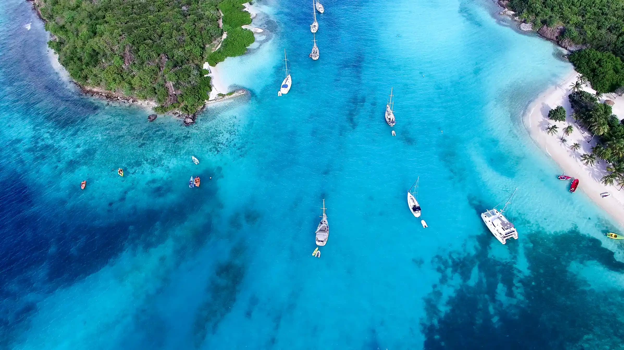 Lesser Antilles featuring Tobago and Grenada